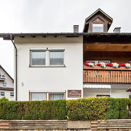 Apartmán Haus Sommerberg